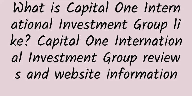 What is Capital One International Investment Group like? Capital One International Investment Group reviews and website information