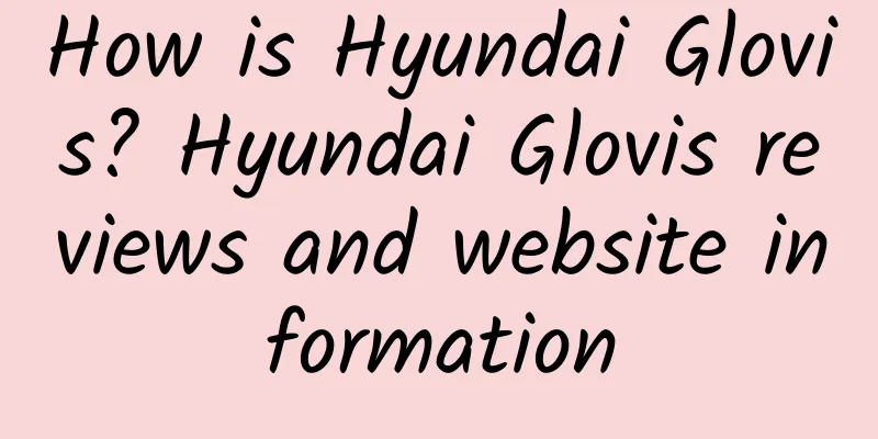 How is Hyundai Glovis? Hyundai Glovis reviews and website information
