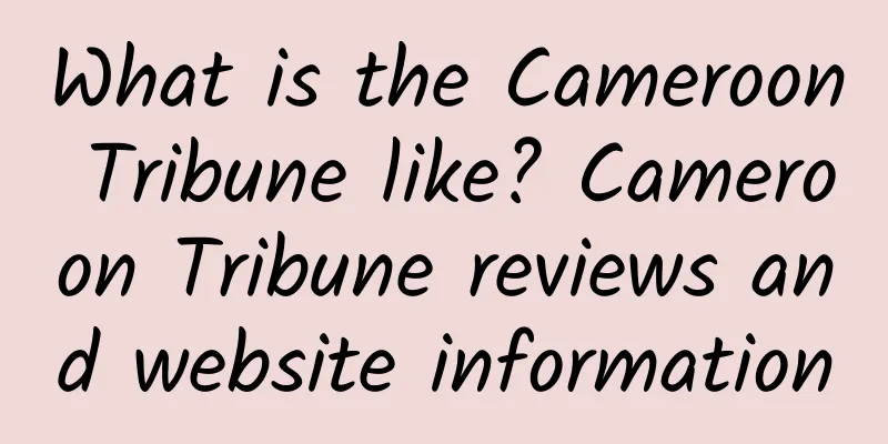 What is the Cameroon Tribune like? Cameroon Tribune reviews and website information