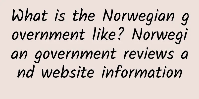 What is the Norwegian government like? Norwegian government reviews and website information