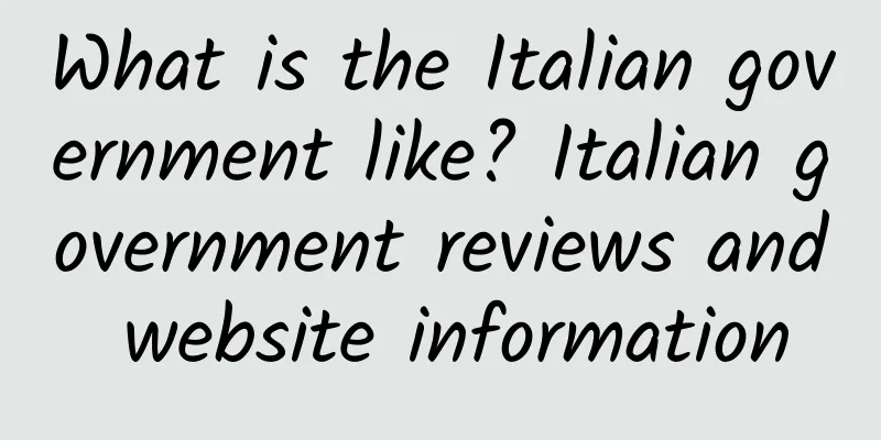 What is the Italian government like? Italian government reviews and website information