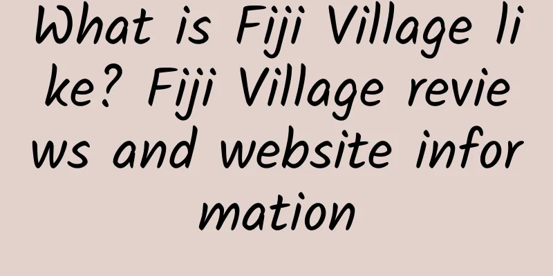 What is Fiji Village like? Fiji Village reviews and website information