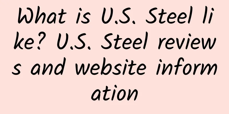 What is U.S. Steel like? U.S. Steel reviews and website information
