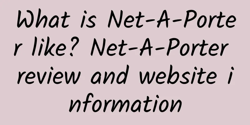 What is Net-A-Porter like? Net-A-Porter review and website information