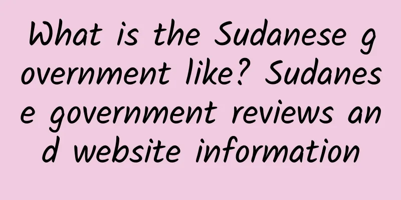 What is the Sudanese government like? Sudanese government reviews and website information