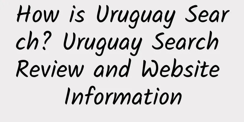 How is Uruguay Search? Uruguay Search Review and Website Information