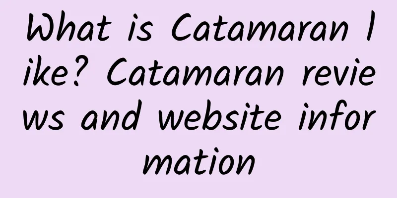 What is Catamaran like? Catamaran reviews and website information