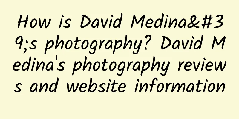 How is David Medina's photography? David Medina's photography reviews and website information