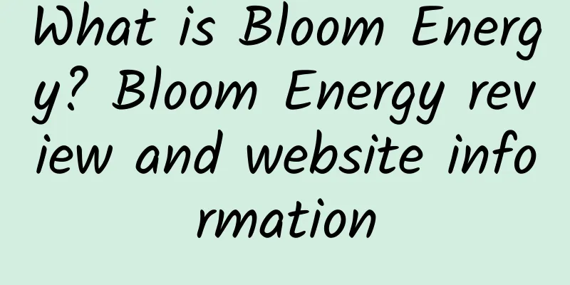 What is Bloom Energy? Bloom Energy review and website information