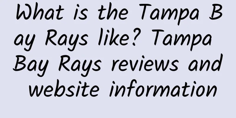 What is the Tampa Bay Rays like? Tampa Bay Rays reviews and website information