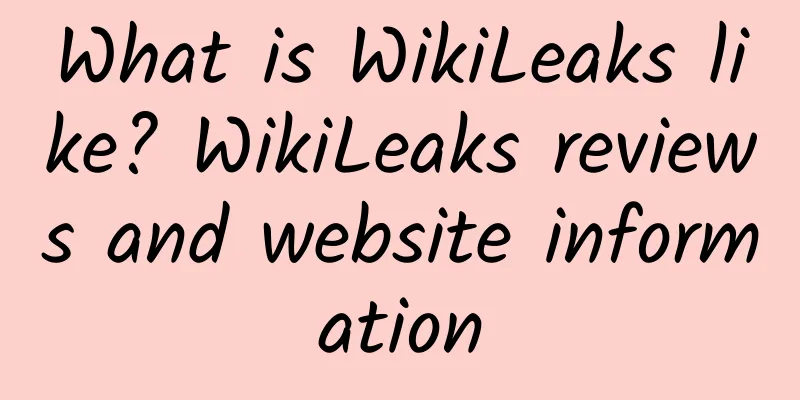 What is WikiLeaks like? WikiLeaks reviews and website information