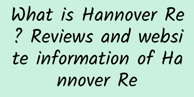 What is Hannover Re? Reviews and website information of Hannover Re