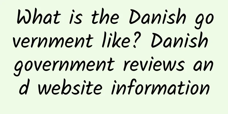 What is the Danish government like? Danish government reviews and website information