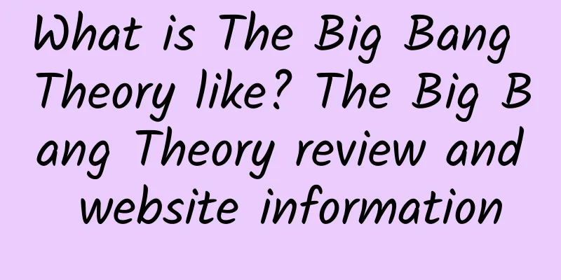 What is The Big Bang Theory like? The Big Bang Theory review and website information