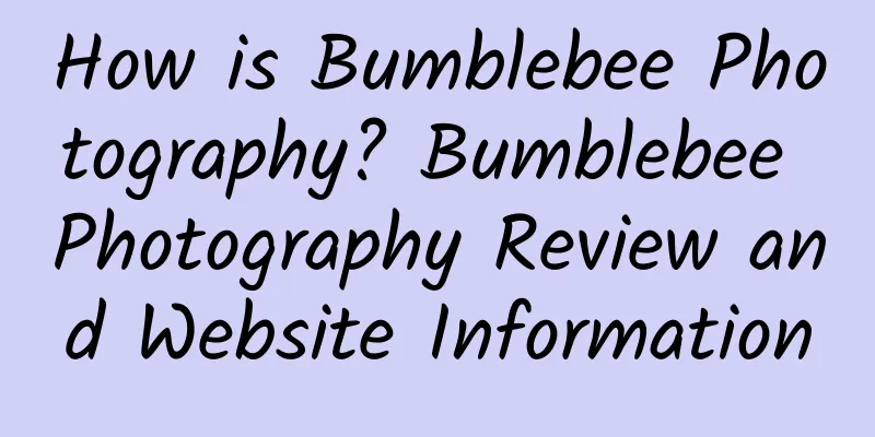 How is Bumblebee Photography? Bumblebee Photography Review and Website Information