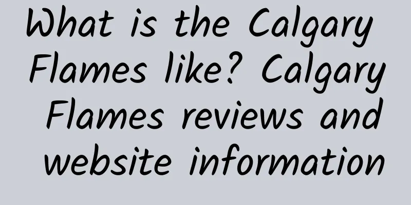 What is the Calgary Flames like? Calgary Flames reviews and website information