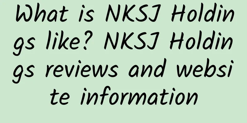 What is NKSJ Holdings like? NKSJ Holdings reviews and website information