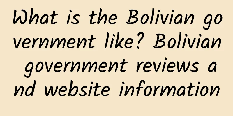 What is the Bolivian government like? Bolivian government reviews and website information