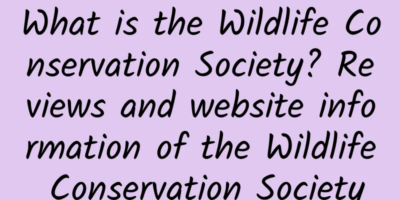 What is the Wildlife Conservation Society? Reviews and website information of the Wildlife Conservation Society