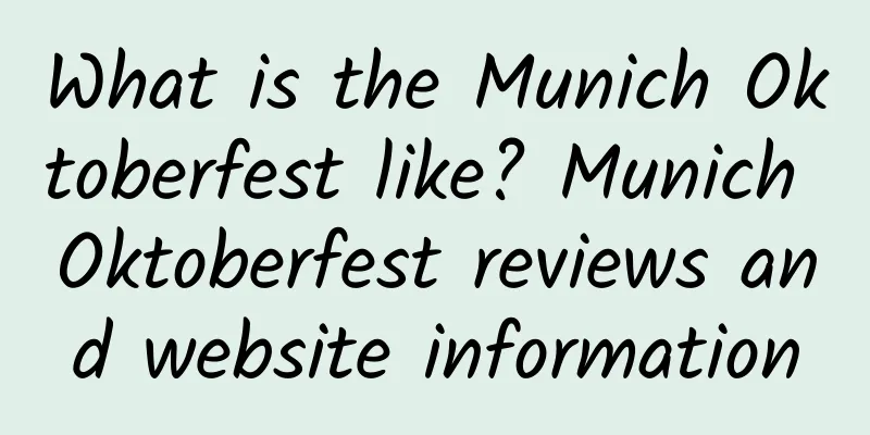 What is the Munich Oktoberfest like? Munich Oktoberfest reviews and website information