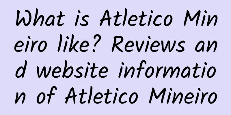 What is Atletico Mineiro like? Reviews and website information of Atletico Mineiro