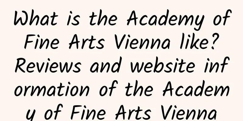 What is the Academy of Fine Arts Vienna like? Reviews and website information of the Academy of Fine Arts Vienna