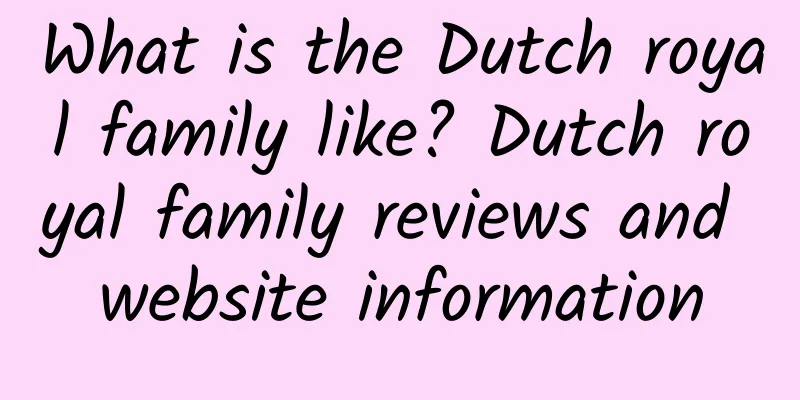 What is the Dutch royal family like? Dutch royal family reviews and website information