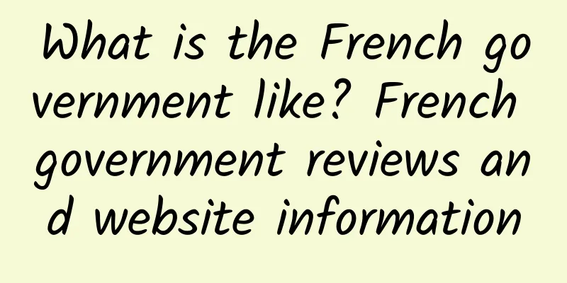 What is the French government like? French government reviews and website information