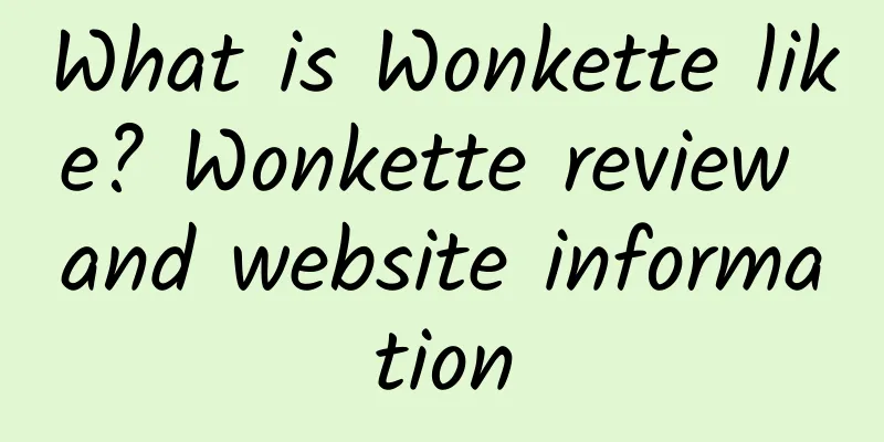 What is Wonkette like? Wonkette review and website information