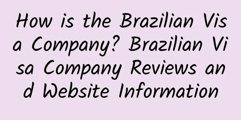 How is the Brazilian Visa Company? Brazilian Visa Company Reviews and Website Information