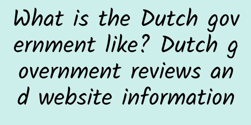 What is the Dutch government like? Dutch government reviews and website information