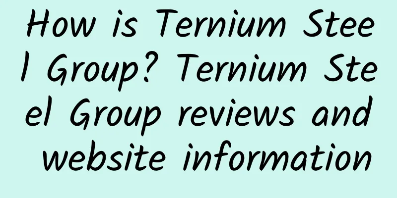 How is Ternium Steel Group? Ternium Steel Group reviews and website information