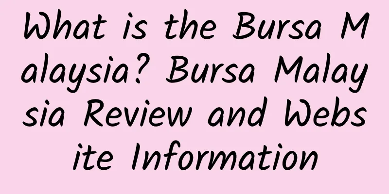 What is the Bursa Malaysia? Bursa Malaysia Review and Website Information