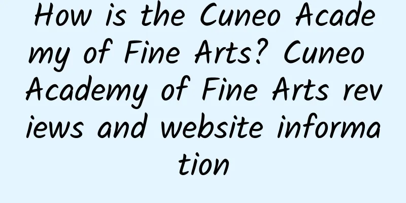 How is the Cuneo Academy of Fine Arts? Cuneo Academy of Fine Arts reviews and website information