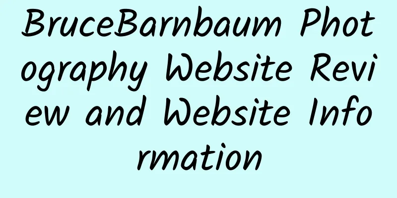 BruceBarnbaum Photography Website Review and Website Information