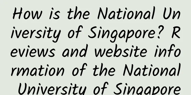 How is the National University of Singapore? Reviews and website information of the National University of Singapore