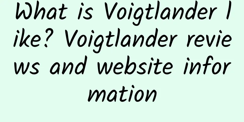 What is Voigtlander like? Voigtlander reviews and website information