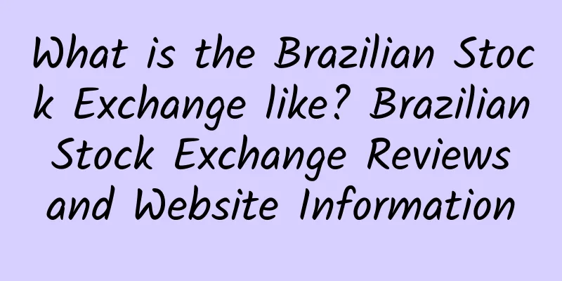 What is the Brazilian Stock Exchange like? Brazilian Stock Exchange Reviews and Website Information