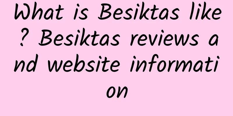 What is Besiktas like? Besiktas reviews and website information