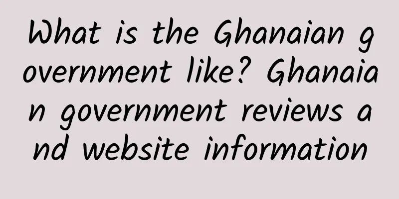 What is the Ghanaian government like? Ghanaian government reviews and website information