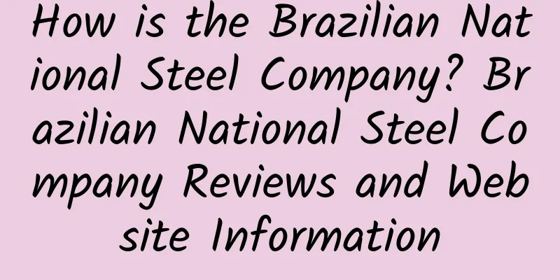 How is the Brazilian National Steel Company? Brazilian National Steel Company Reviews and Website Information