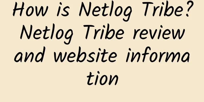 How is Netlog Tribe? Netlog Tribe review and website information