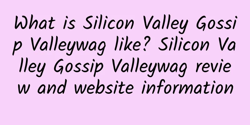 What is Silicon Valley Gossip Valleywag like? Silicon Valley Gossip Valleywag review and website information
