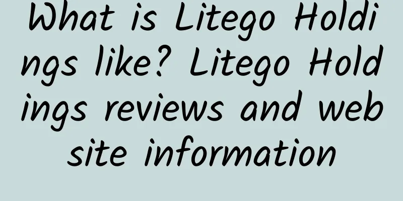 What is Litego Holdings like? Litego Holdings reviews and website information