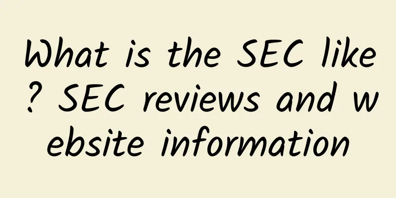 What is the SEC like? SEC reviews and website information
