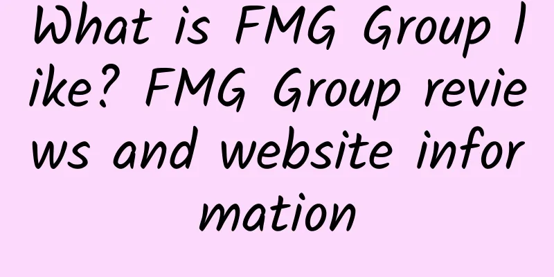 What is FMG Group like? FMG Group reviews and website information