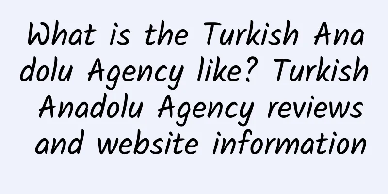 What is the Turkish Anadolu Agency like? Turkish Anadolu Agency reviews and website information