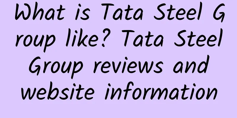 What is Tata Steel Group like? Tata Steel Group reviews and website information