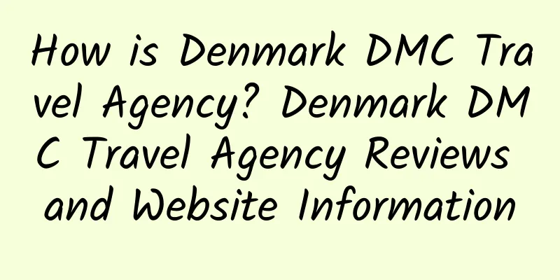 How is Denmark DMC Travel Agency? Denmark DMC Travel Agency Reviews and Website Information