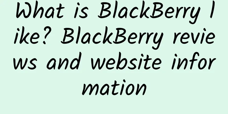 What is BlackBerry like? BlackBerry reviews and website information